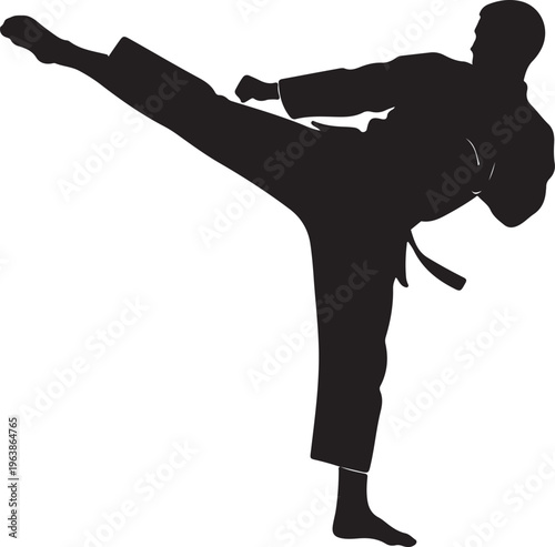Karate Fighter Performing a High Kick Silhouette Isolated on White