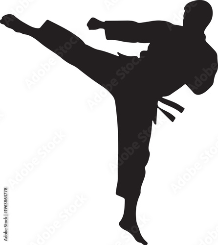 Silhouette of a Martial Artist Performing a High Kick on White Background