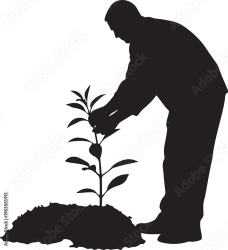 Silhouette of a Man Planting a Small Sapling for Ecology Concept