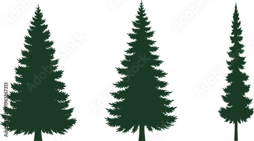 Evergreen tree silhouettes, coniferous forest illustration, pine tree artwork, nature design vector, botanical study concept, landscape reference, outdoor seasonal art