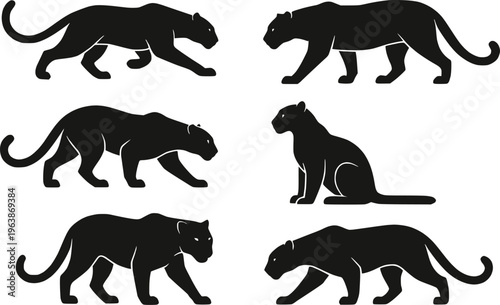 Jaguar silhouette set vector illustration