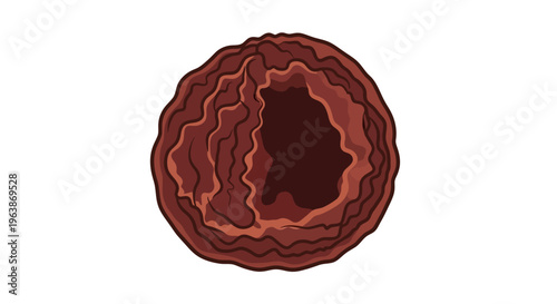 dried blackish brown mangosteen peel