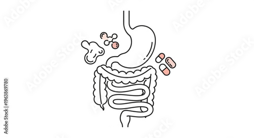 Illustration of human digestive system with stomach and intestines showing pills and abstract shapes representing health and medical treatment isolated on white