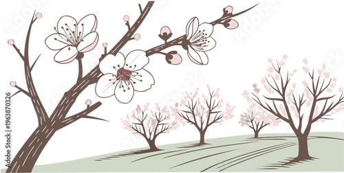 Illustration of blooming orchard trees on a green hill in spring season with white background, symbolizing renewal and nature's beauty.