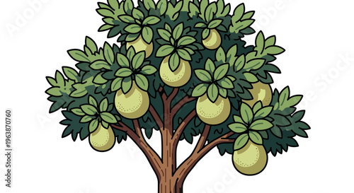 illustration of pomelo tree