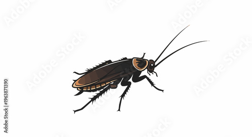 A cartoonish brown cockroach with long antennae is depicted against a white background