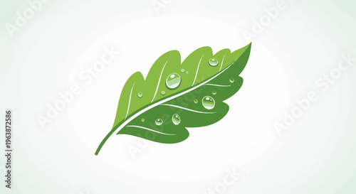 A single green leaf with dew drops is depicted on a white background