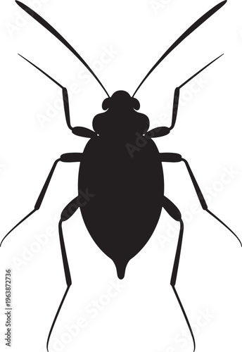 Silhouette of an aphid insect close-up