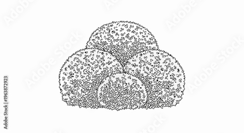 A line drawing of a rounded, textured bush or shrub filled with tiny leaf shapes