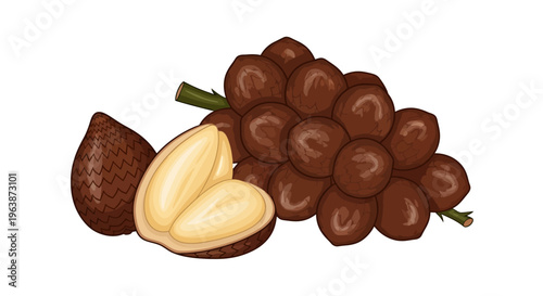 a full stalk of salak fruit