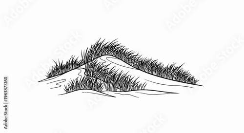 A winding path winds through tall grasses on a sandy dune landscape