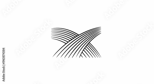 Abstract crossing black lines forming a stylistic X shape on white