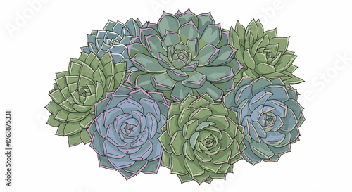 A cluster of colorful, detailed succulent plants arranged together