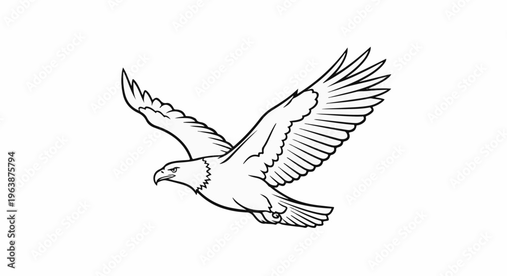 Obraz premium A majestic eagle soars through the sky, its wings spread wide