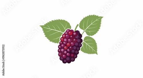 A cluster of ripe, dark purple berries hangs from a stem with green leaves