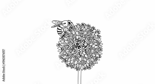 A detailed line drawing of a bee landing on a spherical flower