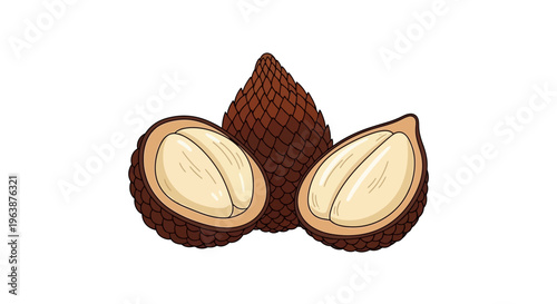 Salak fruit flesh and outer skin texture