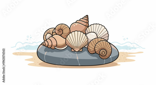 A collection of seashells rests on a smooth stone at the water's edge