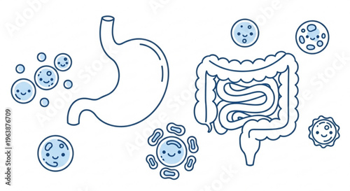 Simplified Digestive System Illustration: A minimalist, artistic depiction of the human digestive system, highlighting the stomach and intestines along with friendly microbial illustrations.