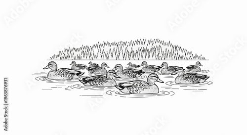 A flock of ducks swims serenely on the water, reeds in the background