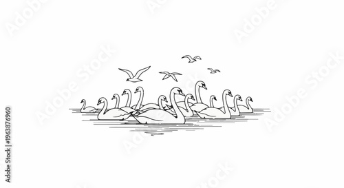 A flock of swans gracefully glides on rippling water, with birds soaring above