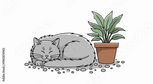 A fluffy gray cat naps peacefully on pebbles next to a potted plant