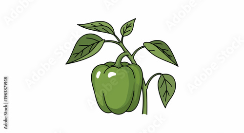 A simple green bell pepper hangs from its plant with leaves