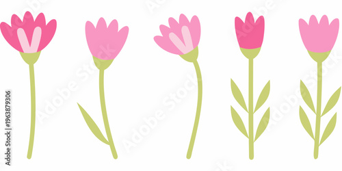 Four pink flowers with green stems arranged in a horizontal line