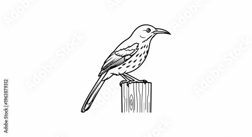 Black and white sketch of a bird with a long beak perched on a wooden post