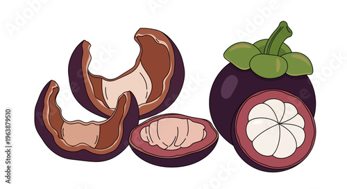 close up of dried mangosteen peel for herbal