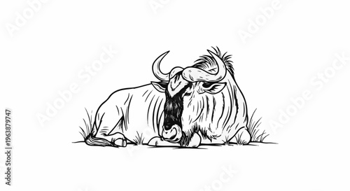 Black and white sketch of a wildebeest resting in grass