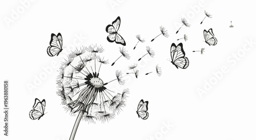 Butterflies fly away from a dandelion in flight