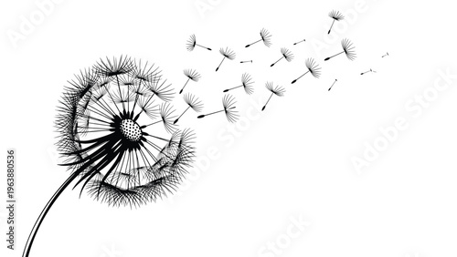Silhouette of a dandelion flower with seeds blowing away in the wind, symbolizing fragility and change in black and white.