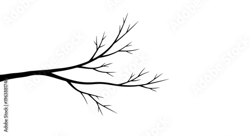 A minimalist black branch with multiple twigs on a white background.