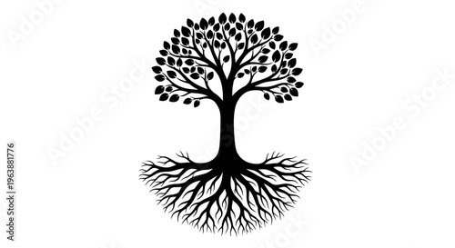 A black silhouette of a tree with visible roots and leaves on a white background.
