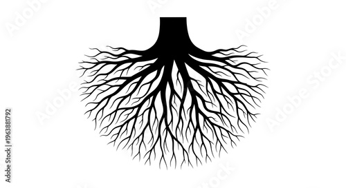 A black silhouette of tree roots against a white background, symbolizing connection and growth.