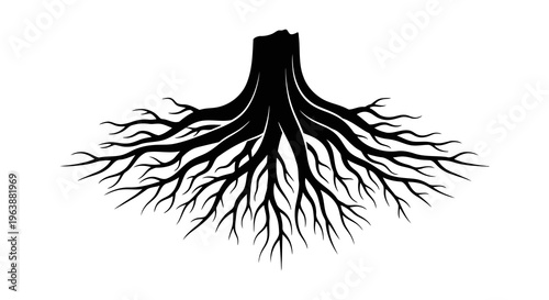 A black silhouette of tree roots against a white background, symbolizing growth and connection.