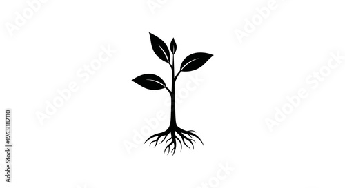A simple black silhouette of a young plant with visible roots and leaves.