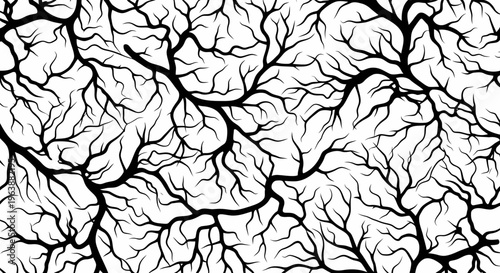 A detailed black and white image of a complex network of branching lines.
