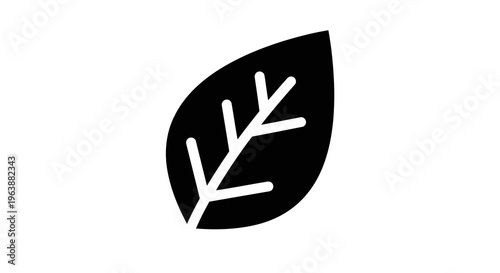 A simple black leaf icon with white veins on a white background.