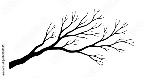 A minimalist illustration of a bare tree branch on a white background.