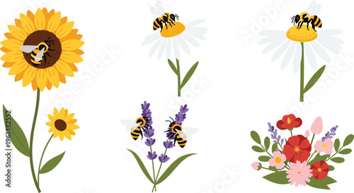 Bees Pollinating Flowers Set Featuring Sunflower Daisy Lavender and Floral Bouquet Nature Flat Vector Illustration Isolated on White Background