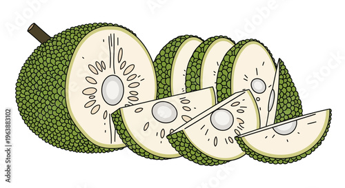 close up vector of breadfruit slices