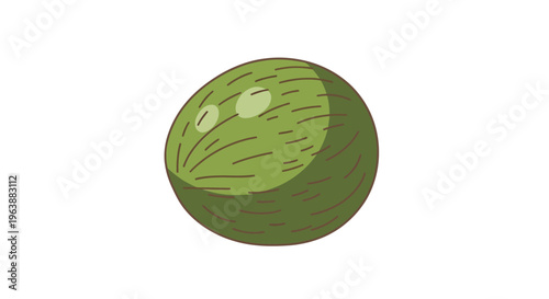 green nutmeg vector