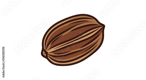anise spice vector