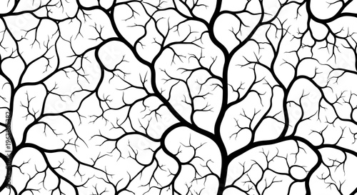 A detailed image of cracked surface with black lines on white background.