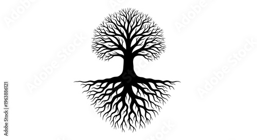 A black silhouette of a tree with visible roots and branches against a white background.