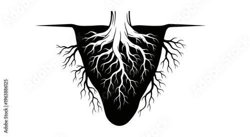 A black silhouette of roots or veins spreading from a central point.