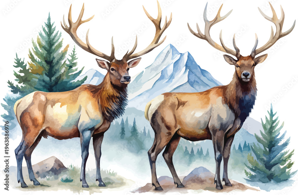 Obraz premium Watercolor Elk Illustration, Mountain Wildlife Clipart, isolated on white background