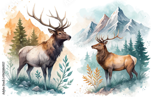 Watercolor Elk Illustration, Mountain Wildlife Clipart, vector isolated on white background